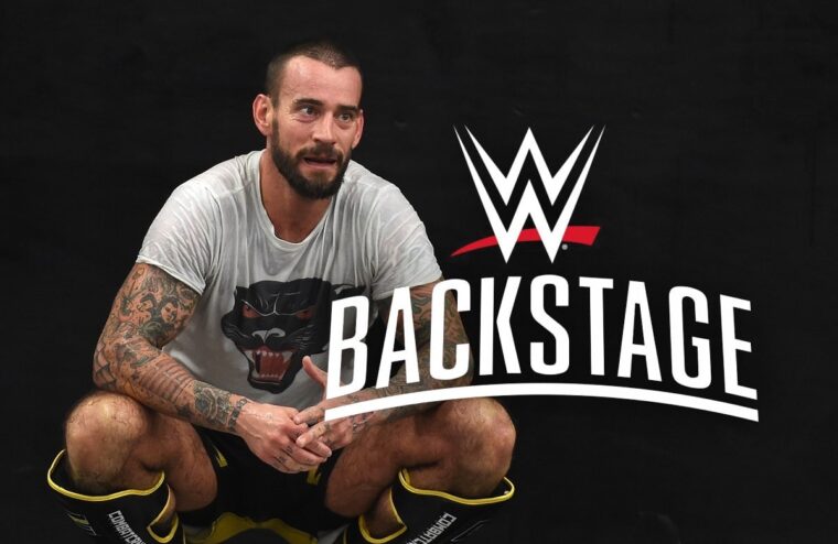 CM Punk Returns To WWE Television And Has Already Been Challenged By Seth Rollins On Twitter