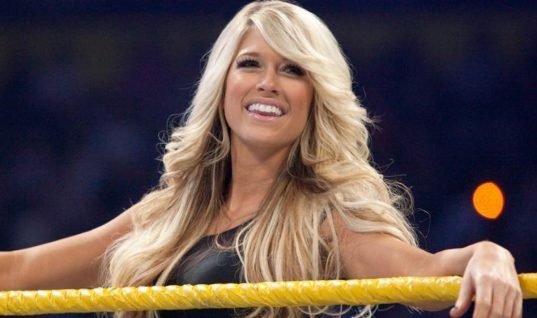 Kelly Kelly Potentially Returning To WWE On A Semi-Regular Basis