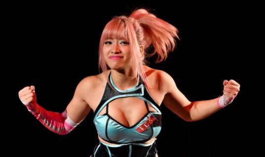 Hana Kimura’s Mother Is Suing Fuji Television For Huge Amount After She Took Her Own Life