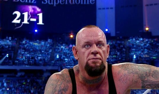 The Undertaker Suggests An Alternative Wrestler Who Would Have Benefited More By Ending The Streak