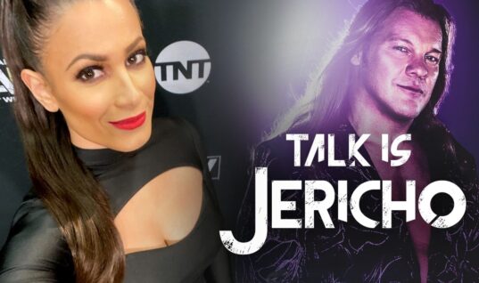 Talk Is Jericho: Newsflash – Dasha Gonzalez Has A Great Personality!