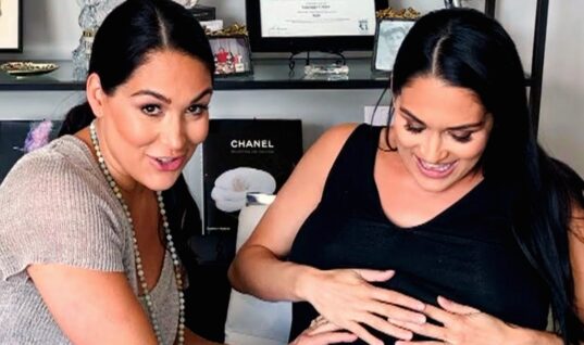 The Bella Twins Give Birth One Day Apart (w/Photos)