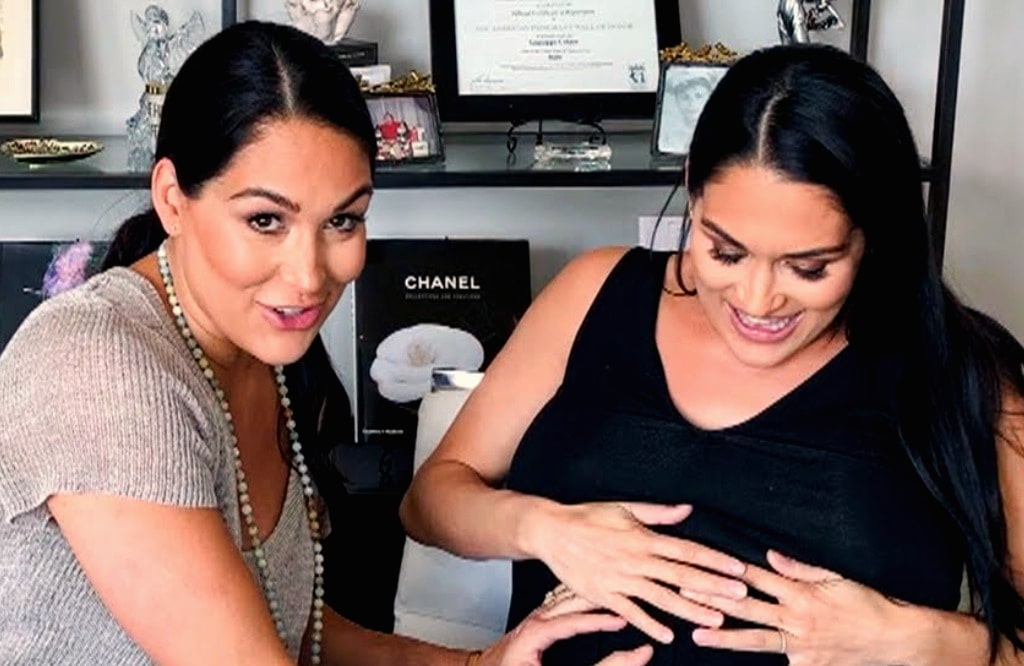 The Bella Twins Give Birth One Day Apart (w/Photos) WEB IS JERICHO