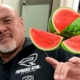 Video Of The Great Muta Eating A Watermelon Goes Viral