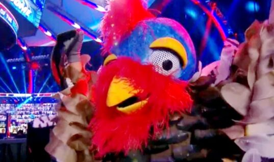 Identity Of Last Night’s Gobbledy Gooker Revealed