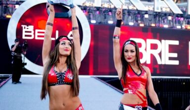 The Bella Twins In Talks To Return To The Ring