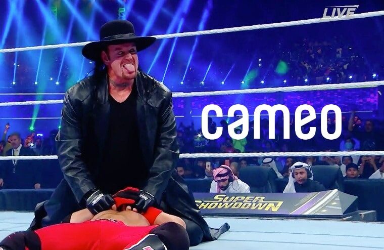 Cameo Video Messages From The Undertaker Available For Big Money