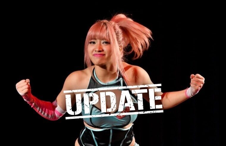 Man In His 20s Being Investigated For Cyberbullying Hana Kimura