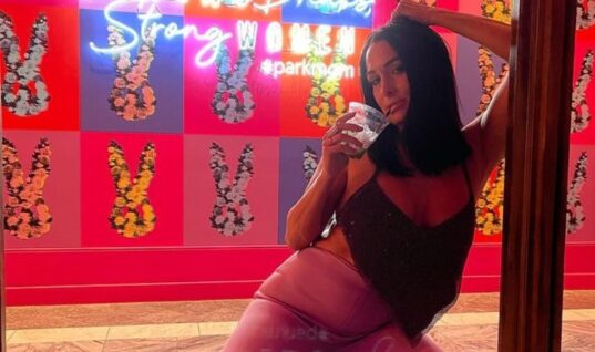 Nikki Bella Reveals She Was Not Allowed To Attend SummerSlam