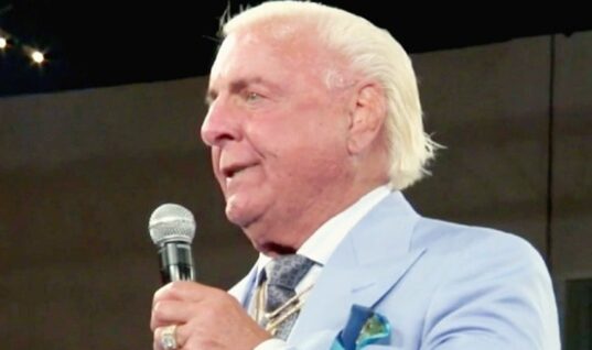 Promoter Wants To Book Ric Flair To Wrestle Top AEW Star