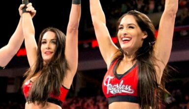 It Appears The Bella Twins Are No Longer With WWE Having Changed Their Names
