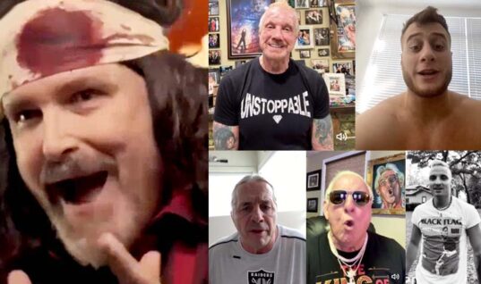 A Christmas Guide To The Best Wrestlers On Cameo