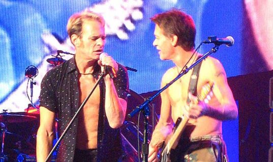 Eddie Van Halen Asked Famous Pop Star & Songwriter To Replace David Lee Roth