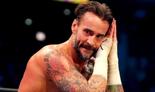 CM Punk Has Former New Japan Star In His Sights As Potential Opponent