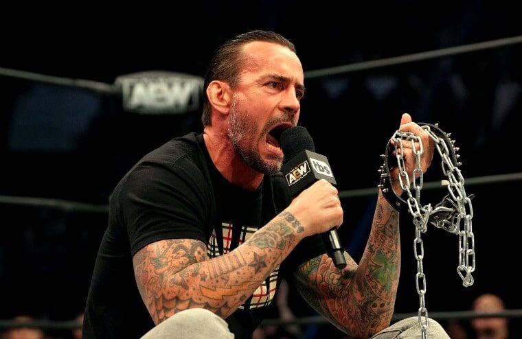 CM Punk Photographed At NJPW Battle In The Valley