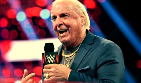 Ric Flair Refuses Photo With Clout-Chasing Non-Wrestling Fan
