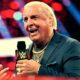Ric Flair Refuses Photo With Clout-Chasing Non-Wrestling Fan