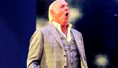 Ric Flair Comments On His Current Relationship With WWE