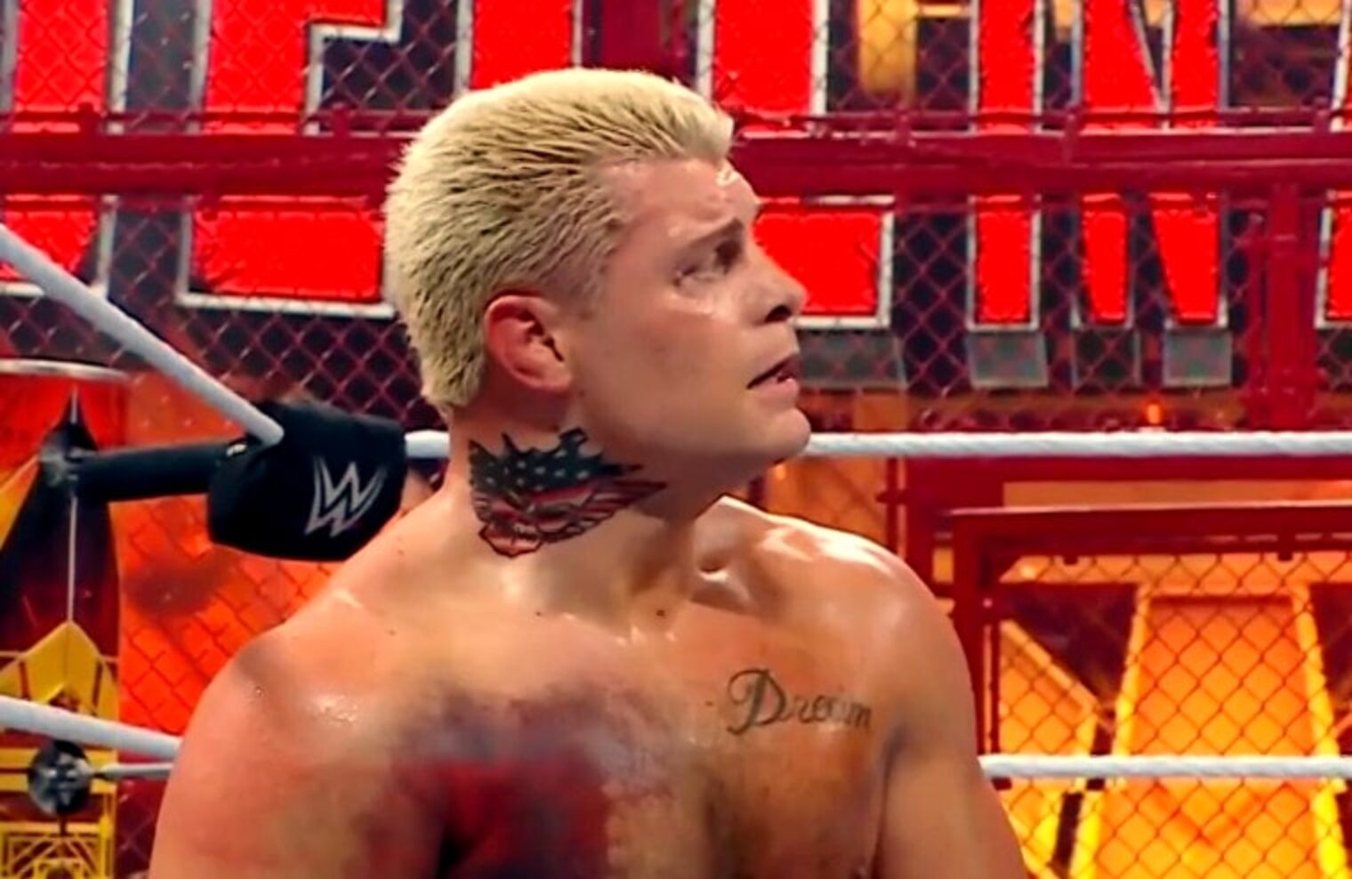 Cody Rhodes Cut An Emotional Promo After Wrestling Hell In A Cell Match With Torn Pec (w/Video
