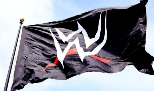 Updated WWE Logo Potentially Leaked