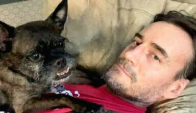Wrestling Journalist Told Claim That CM Punk’s Dog Was Harmed In Backstage Brawl Is “An Outright Lie”