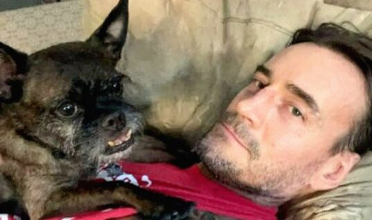 Wrestling Journalist Told Claim That CM Punk’s Dog Was Harmed In Backstage Brawl Is “An Outright Lie”