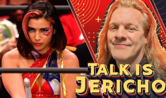 Talk Is Jericho: Hikaru Shida – Kendo Sticks & Championships