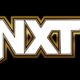 Recently Cut NXT Talent Reveals They Requested Release