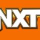 Current NXT Wrestler Is Not Having His Contract Renewed