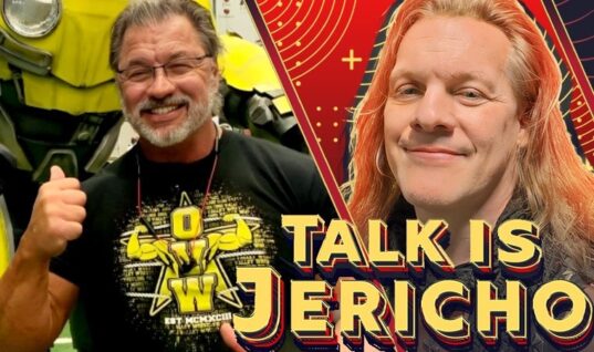 Talk Is Jericho: Al Snow – The Head Of OVW