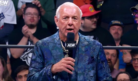 Ric Flair Announces Potentially Controversial New Business Venture