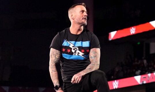 CM Punk May Have Noteworthy Clause In His WWE Contract