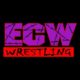 ECW Original Announces Birth Of His Seventh Child