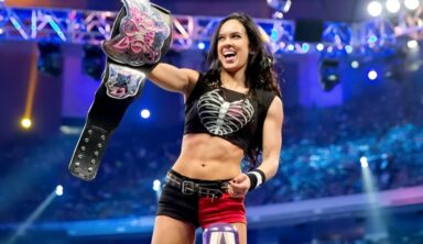 Former WWE Star AJ Lee Comments On Her Retirement Status