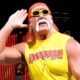 Hulk Hogan Proves He’s Still A Draw (w/Video)