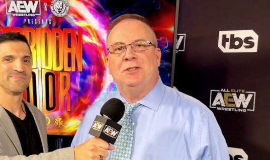 Why AEW Fired Kevin Kelly Has Been Reported