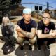 Blink-182 Forced To Cancel Concerts
