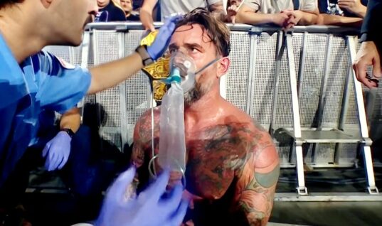 CM Punk Makes Heartwarming Dedication Following Bad Blood Match