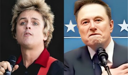 Green Day Frontman Takes Shot At Elon Musk