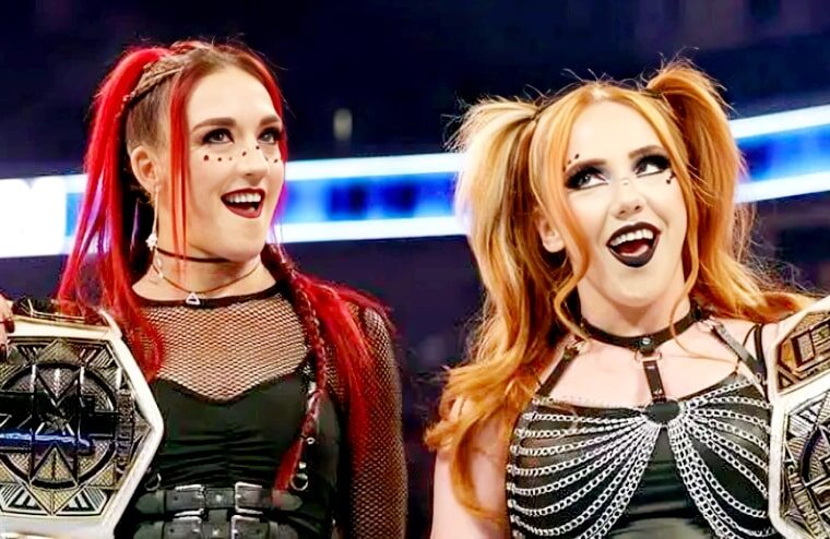WWE Has Seemingly Released Another Wrestler