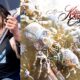 Killswitch Engage Bassist Responds To Allegations Surrounding Album Cover Art