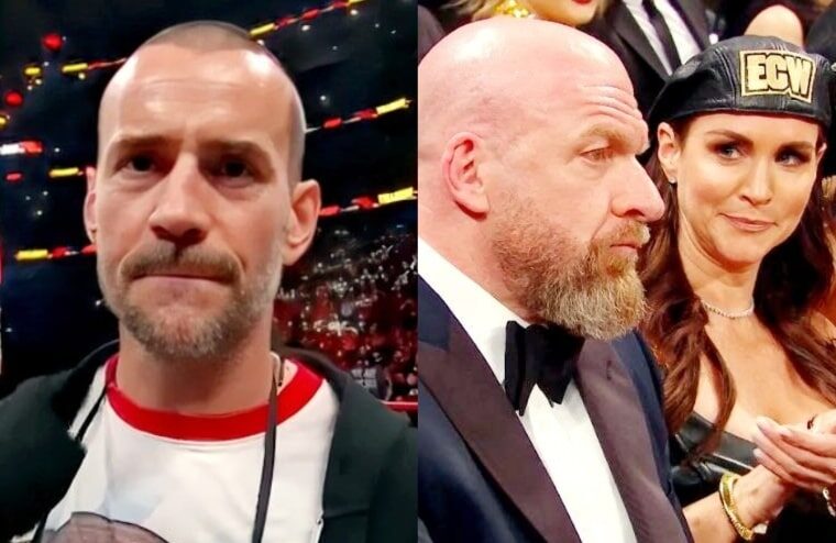 CM Punk May Have Let Slip That Triple H & Stephanie McMahon Are Divorced