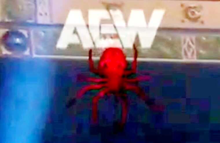 AEW Seemingly Teases The Signing Of International Wrestler
