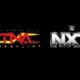 TNA Wrestler Has Undergone Surgery Following Injury During NXT Match