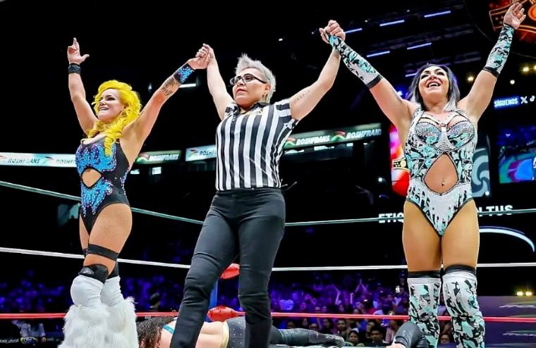 AEW Wrestler Asks Fans To Respect Her Privacy After Announcing She’s Gotten Divorced
