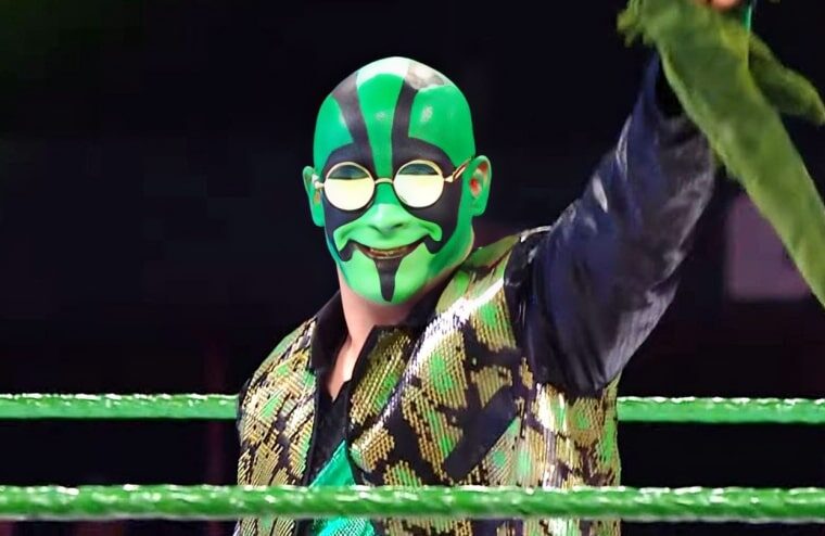 Where Mr. Iguana Could Be Appearing Next