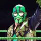 Where Mr. Iguana Could Be Appearing Next