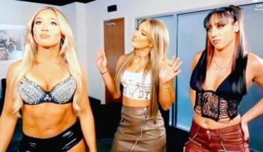 Highly Rated NXT Wrestler Has Signed New Contract