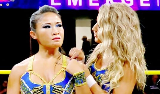 Ex-WWE Wrestler Flexes Her Impressive One-Year Body Transformation