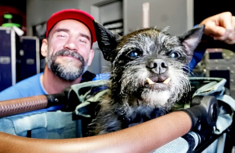 CM Punk Shares Devastating Larry News